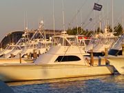 Pirate's Cove Marina, Lone Wolf...