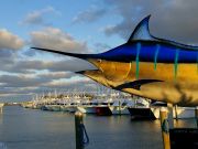 Pirate's Cove Marina, No Fishing Today..