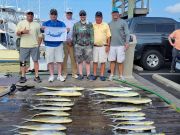 Pirate's Cove Marina, Fish Taco Tuesday