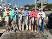 Pirate's Cove Marina, Testy Tuesday