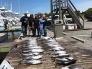 Pirate's Cove Marina, Docked Early! LIMITS OF TUNA!