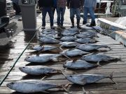 Pirate's Cove Marina, Yellowfinz!