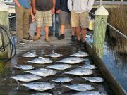 Pirate's Cove Marina, Still Fishin'