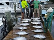 Pirate's Cove Marina, Fishing Fiesta