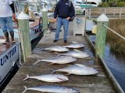 Pirate's Cove Marina, Tight Lines Tuesday!