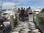 Pirate's Cove Marina, Sunday Fishin’