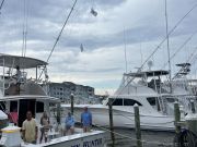 Pirate's Cove Marina, Sunday’s Catch