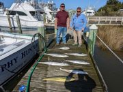 Pirate's Cove Marina, Thursday's Catch