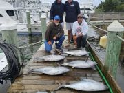 Pirate's Cove Marina, Testy Tuesday