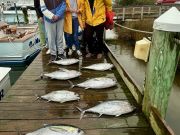Pirate's Cove Marina, Friday's Catch!