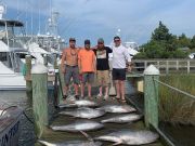 Pirate's Cove Marina, Salty Sunday