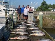 Pirate's Cove Marina, Mixed Bag!
