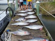 Pirate's Cove Marina, Fishin' On A Saturday