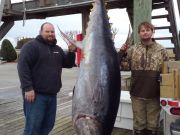 Pirate's Cove Marina, One Fin, Two Fin, Yellowfin, Bluefin!