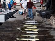 Pirate's Cove Marina, Light the Grill Honey!