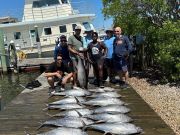 Pirate's Cove Marina, Let’s Talk About Tuna!