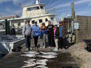 Pirate's Cove Marina, Let’s Play Catch Up!