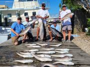 Pirate's Cove Marina, Tight Lines Tuesday!