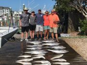 Pirate's Cove Marina, Wednesday’s Catch!