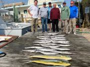 Pirate's Cove Marina, Hooked Up!