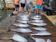 Pirate's Cove Marina, Tuesday’s Catch!