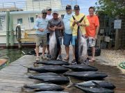 Pirate's Cove Marina, Boxes Full!