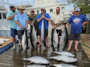 Pirate's Cove Marina, Wednesday's Catch