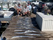 Pirate's Cove Marina, Saturday Fishin’