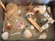 North Carolina Aquarium on Roanoke Island, Coastal Crafts: Driftwood Wind Chimes