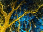 Elizabethan Gardens, Virginia Dare Night