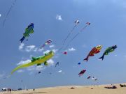 Kitty Hawk Kites, Fly into Spring Kite Festival