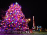 Town of Manteo, Christmas Tree Lighting