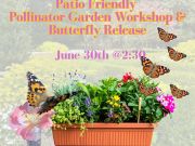 Elizabethan Gardens, Patio Friendly Pollinator Garden Workshop