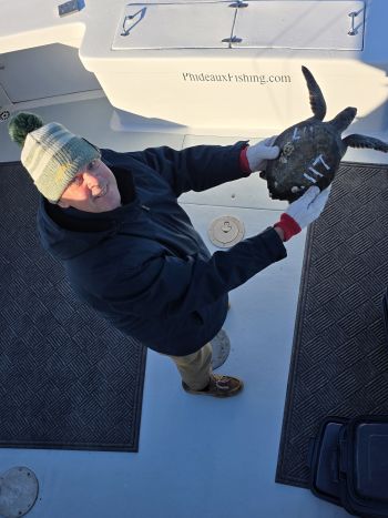 Phideaux Fishing Charters Outer Banks, Turtle Release