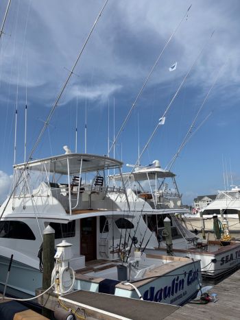 Pirate's Cove Marina, Pre-Tournament Madness!