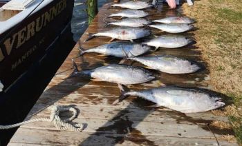 Waverunner Fishing Charters, Dates are Filling Up