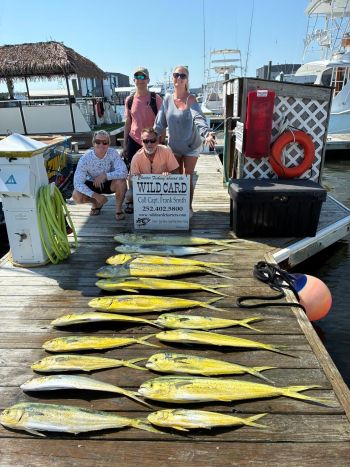 Wild Card Sportfishing Charters, From the Sound to the Gulf Stream