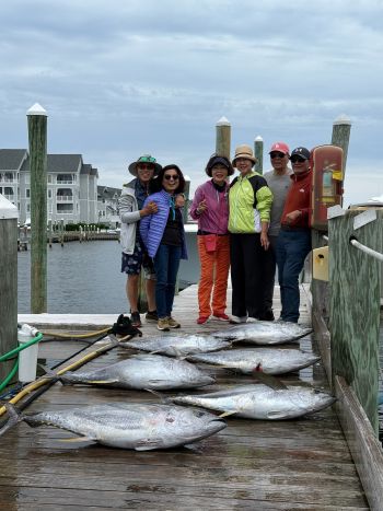 Pirate's Cove Marina, Marlin Monday