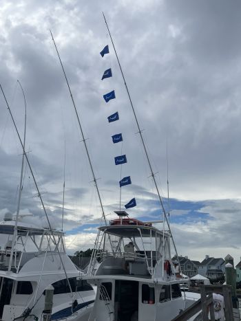 Pirate's Cove Marina, Alice Kelly Day 1!
