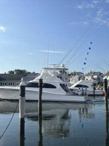 Pirate's Cove Marina, White Marlin Monday!