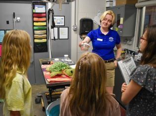 North Carolina Aquarium on Roanoke Island, Sea Turtle Assistance & Rehabilitation (STAR) Center Tour