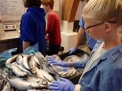 North Carolina Aquarium on Roanoke Island, Aquarist for a Day