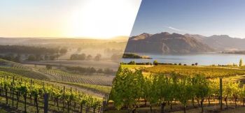 NouVines, Discover Down Under - Wine Tasting