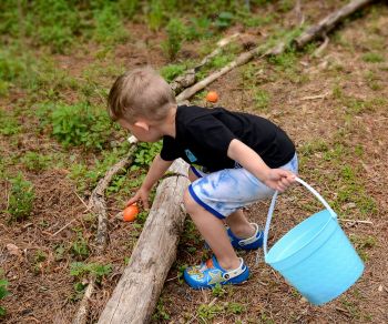 North Carolina Aquarium on Roanoke Island, Animal Egg Hunt