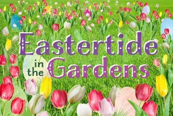 Elizabethan Gardens, Eastertide in the Gardens