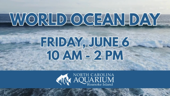 North Carolina Aquarium on Roanoke Island, World Ocean Day