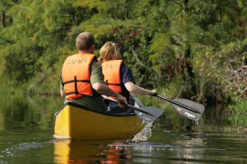 Coastal North Carolina National Wildlife Refuges, Alligator River Canoe Tour