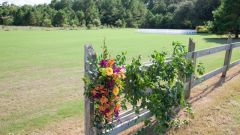 Outer Banks Wedding Guild photo