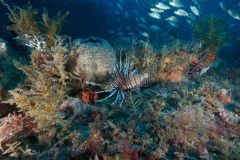 UNC Coastal Studies Institute photo