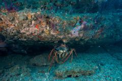 UNC Coastal Studies Institute photo